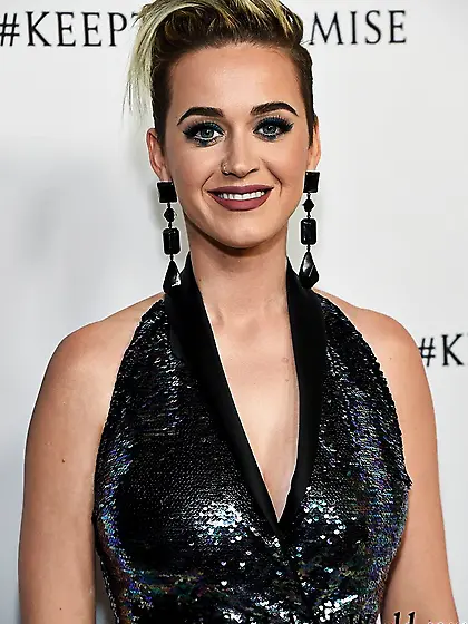 Fishnets Wearing Katy Perry on the Red Carpet
