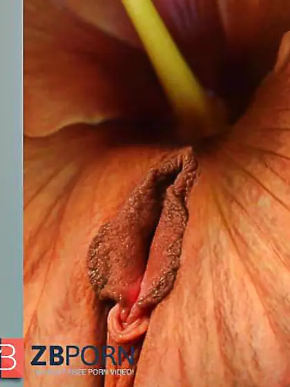 Cooter,  Muschi,  Joy Button