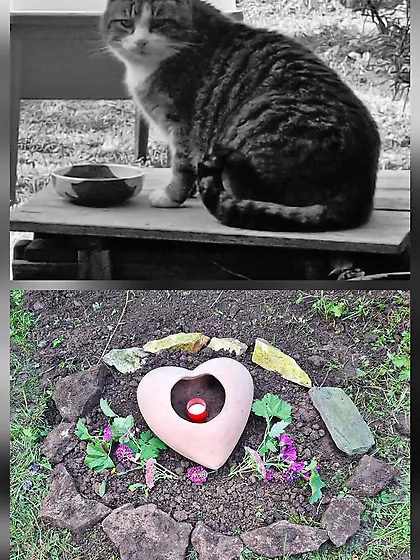 No Vid Today 9/28/25