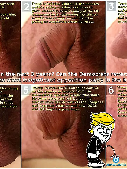 21B492B - Trumps impact on democRatic party