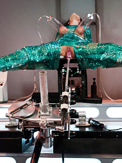 Rud's Milking Factory 2