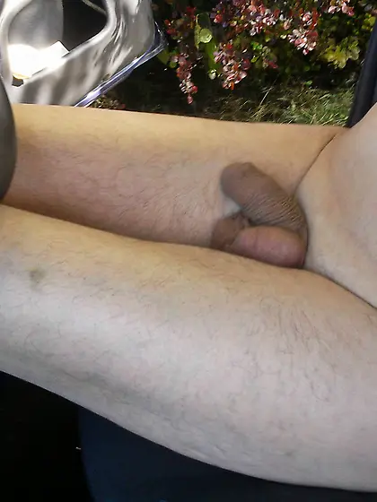 Naked in the car