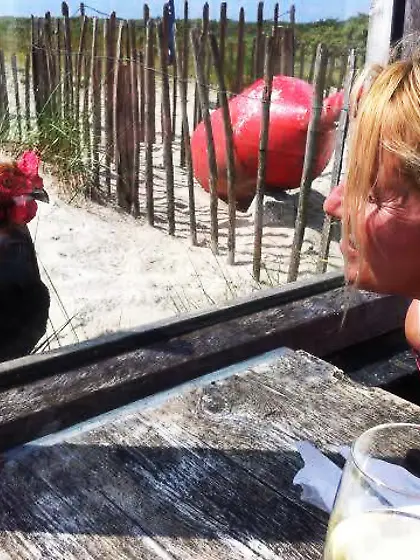 DOODLE'S DUTCH CRUSH SEXY SUKE