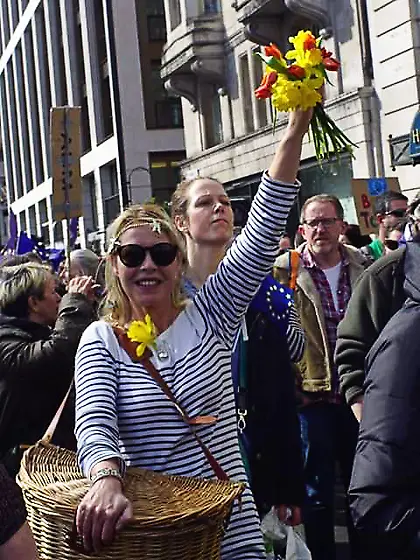 DOODLE'S DUTCH CRUSH SEXY SUKE