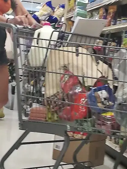 More Stroke Material