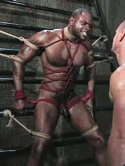 the natural order race theory white is right