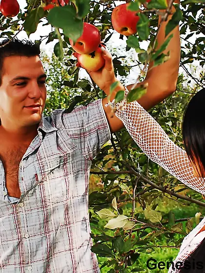 Black haired beauty Christina Bella rides a cock in the shadow o