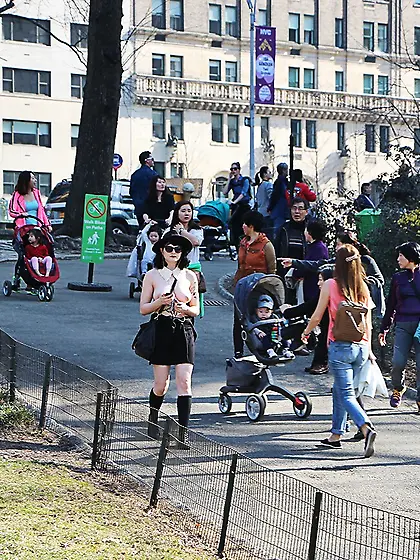 Ms.  Rosie Wilde (Ms.  Rosie Levine)