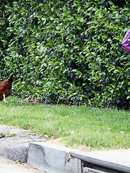 Kelly Klass goes down on her knees and gives her lover a good wa