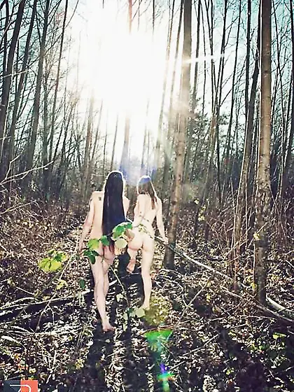 Random Favourites v0. two.