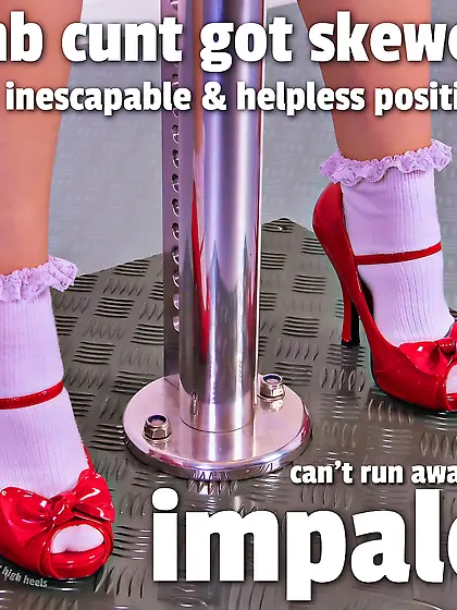 PORN IS POISON & YOU'RE A PERVERT CAPTIONS (OC)