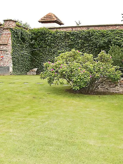 Yasmincarolatara galexa achanel debbie