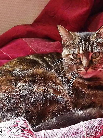 A Greatest Of Users 67 N