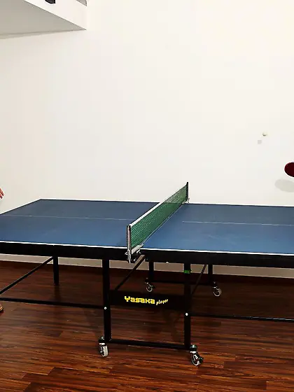 Nude lesbian chicks Eufrat and Promesita are on the tennis table