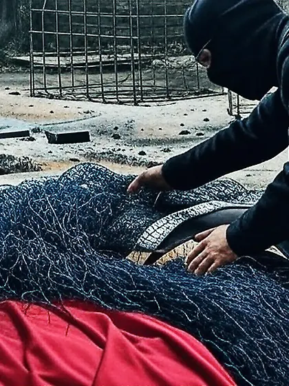 Black Superhero captured in netting.  KO and fondle