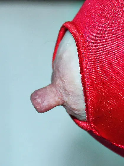 Red shelf bra supporting my 38DD tits.