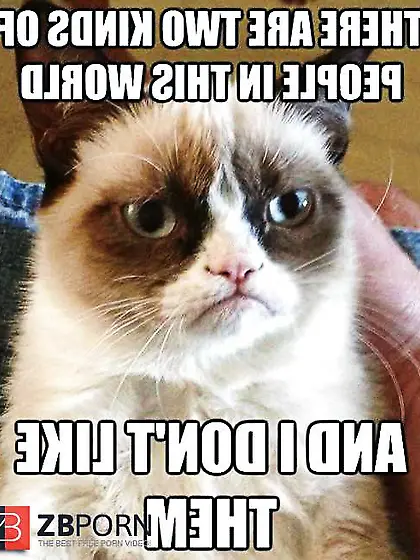 Some grumpy vagina and xmas jokes