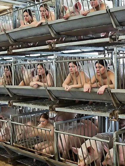 Breeding farm