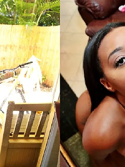 Le paradis noir,  the black paradise86