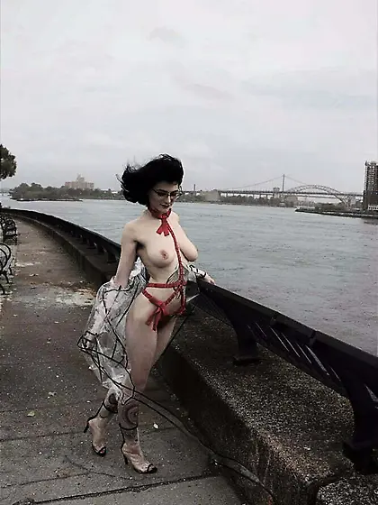 Ms.  Rosie Wilde (Ms.  Rosie Levine)