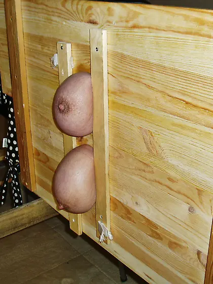 Tit torture