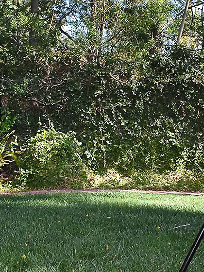 Halia Hill and her well-hung lad satisfy their sex hunger on an