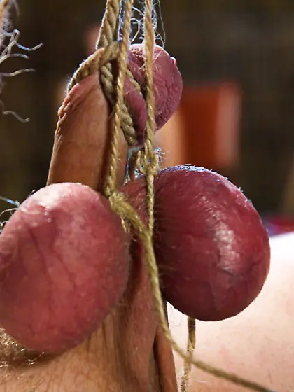 Sexy shaped mistresses humiliating