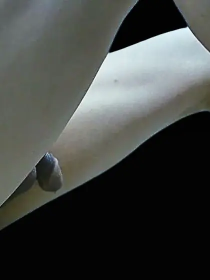 パイパンにしてみました