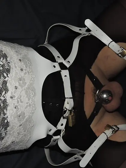 Restraint in my harness