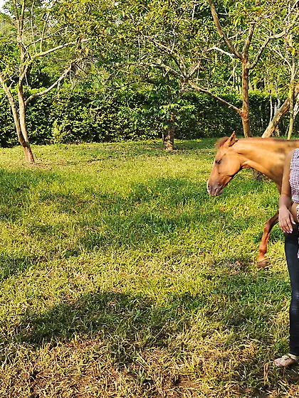 Oiled-up Latina with sexy curves gets drilled in a swimming pool