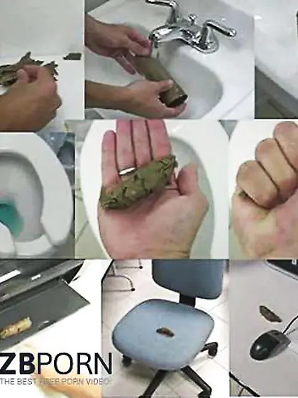 Random-Funny or Stunning