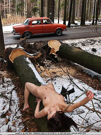 Completely nude slender asian Annie Ling exposes her slit outdoo