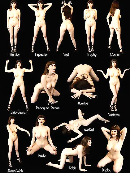 Submission pose chart