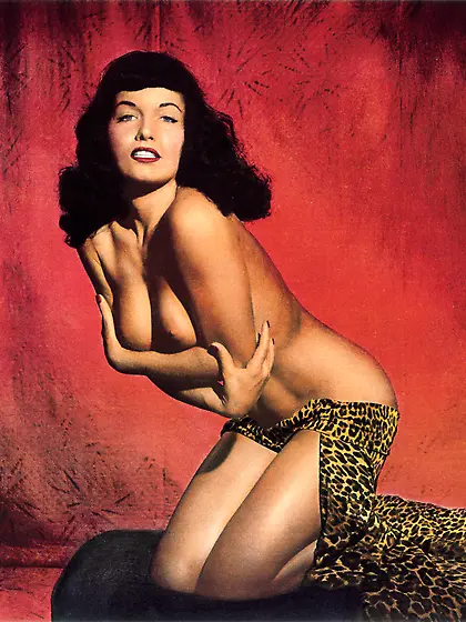 Vintage dark haired top