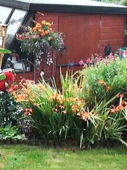 Size bitches dungeon strip