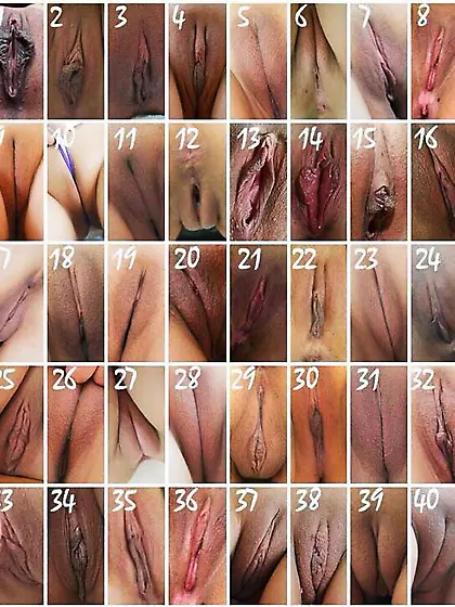 I can't decide, all of them