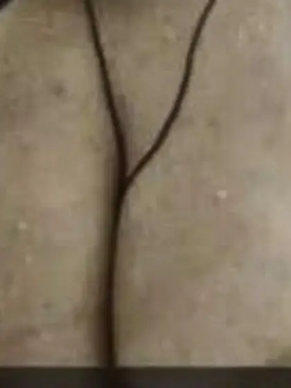 Premium Brazil Whore Bianca needs some attention