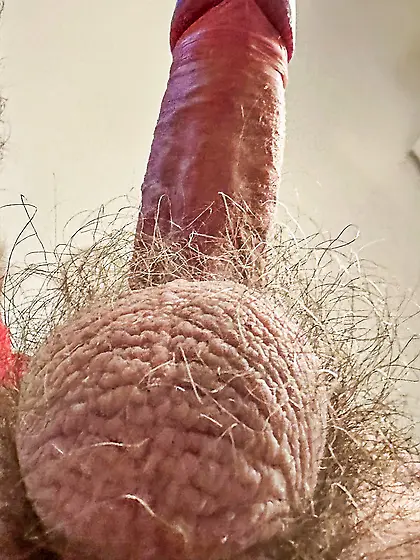 My cock