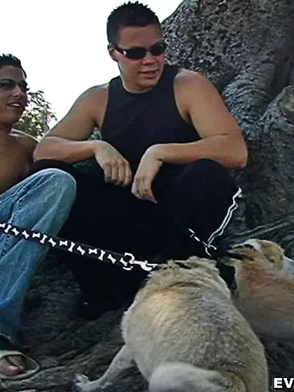 Guys walking dogs leave