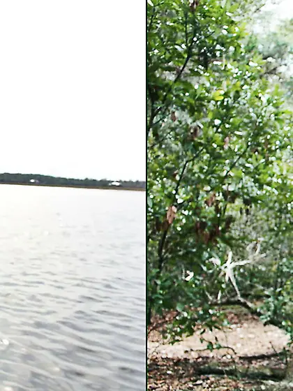 Heavenly amateur ladies