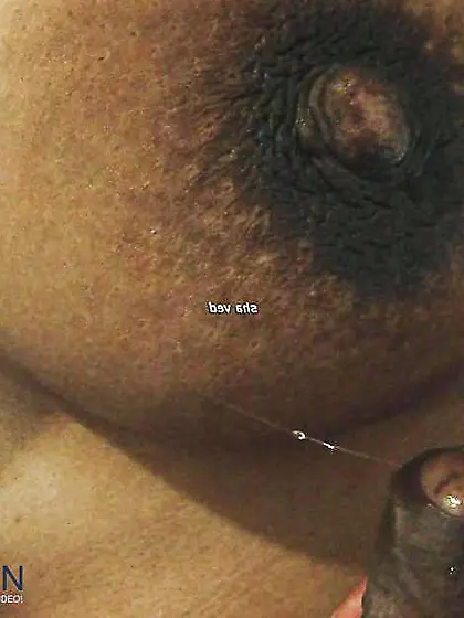Indian lactating