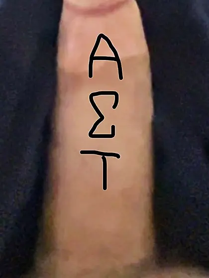 AST recruitment cock