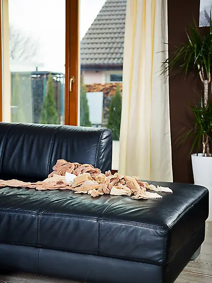 Brunette flirtatiously wet horny