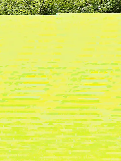 Tiny titted cowgirl Laney Rose strips and packs cucumber and ban