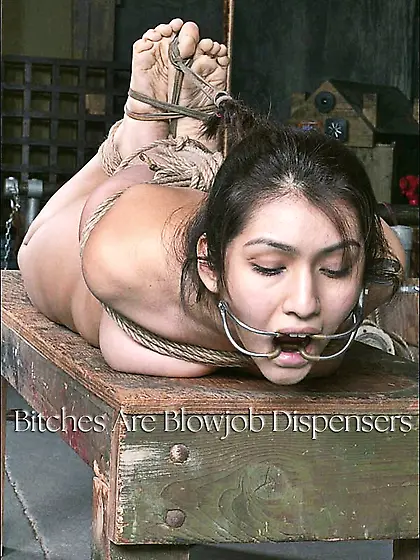 Blowjob dispensers