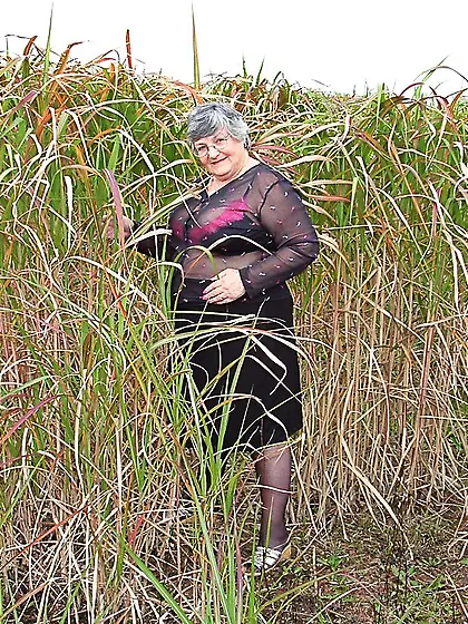 Granny grandma libby united