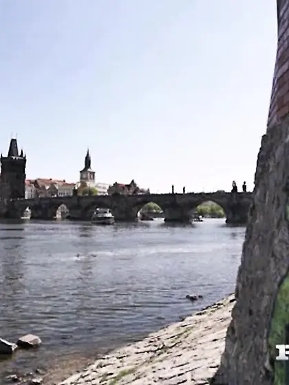 Tiny small tits brunette gets fucked hard