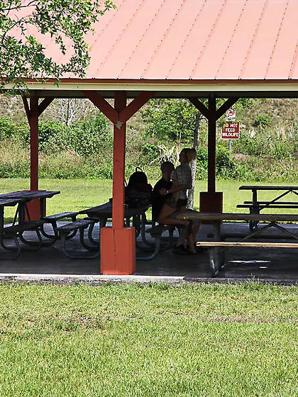 Busty blonde getting brutally pounded doggy style in the woods