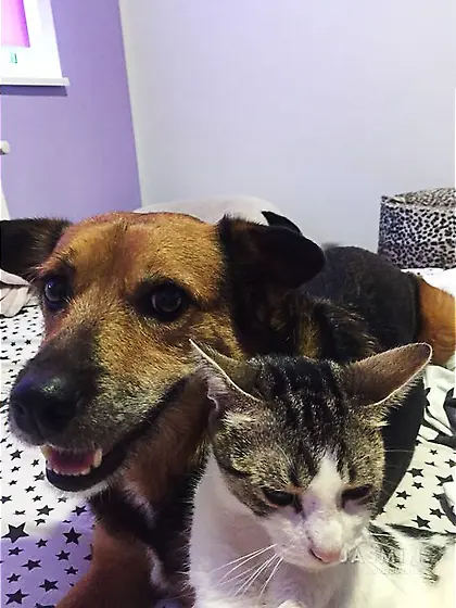 Teen tiny tits stockings