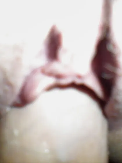 Geile suesse aus Bayer